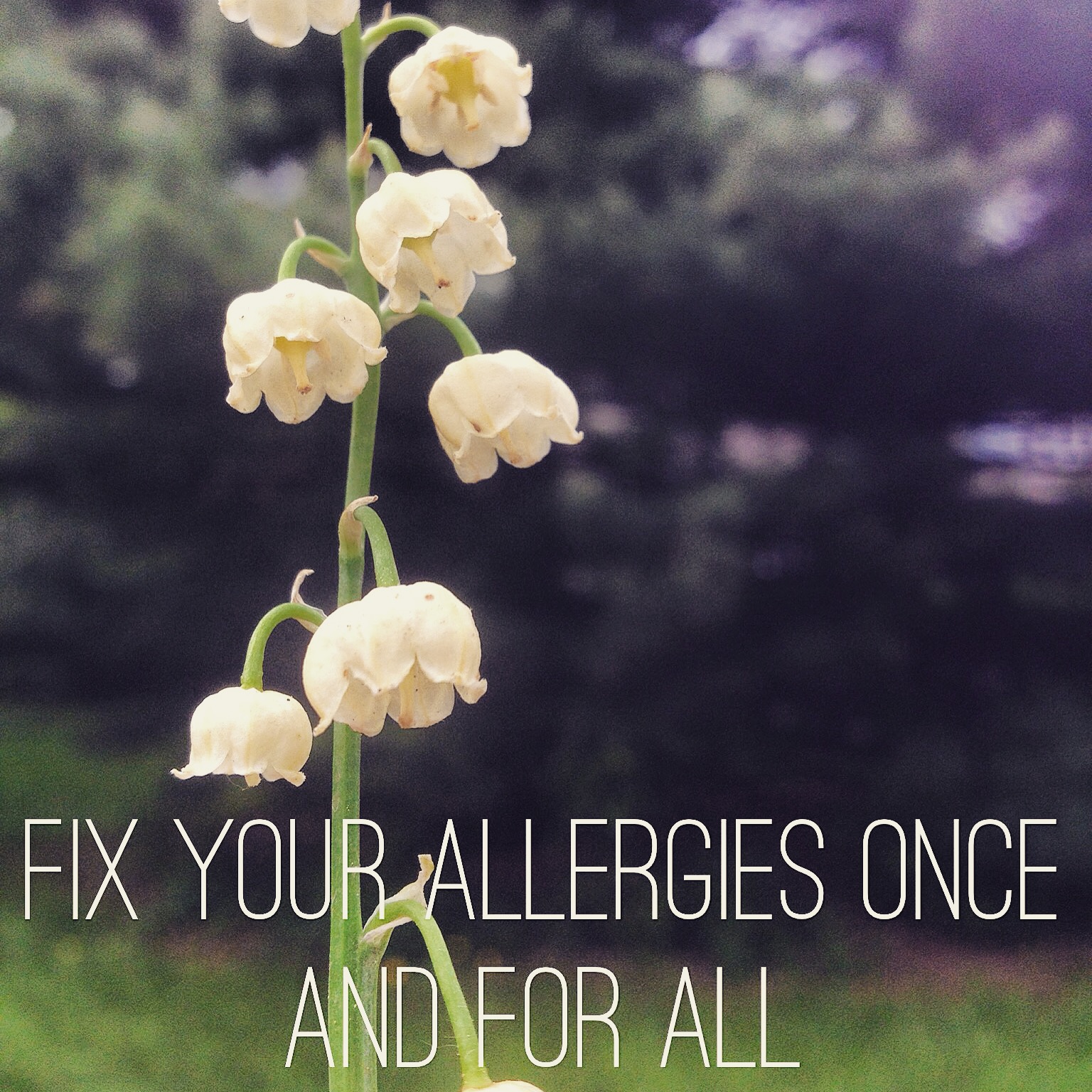 Fix Your Allergies Once and For All