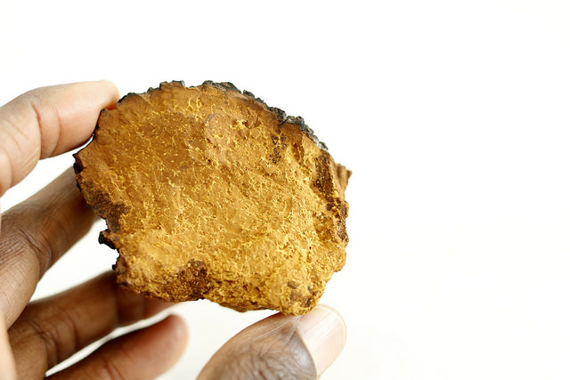 Chaga: What You Should Know